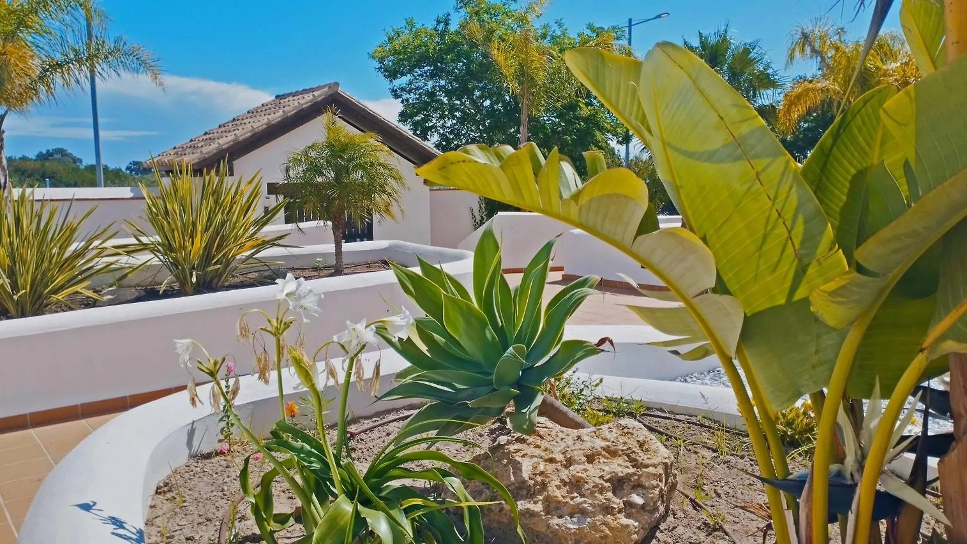 Apartment Apartamento Dunas Candor - Ole Solutions Rota Spain